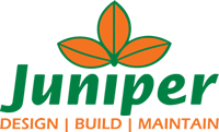 Juniper-landscaping-1